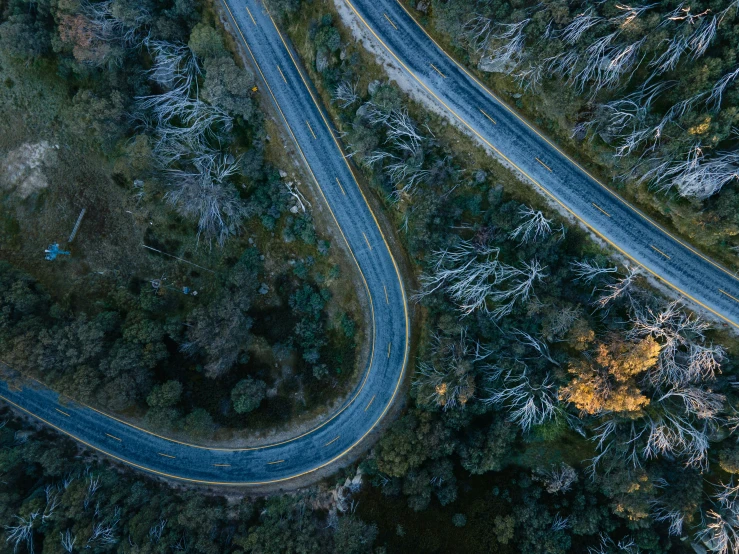 two roads cross in the middle of the woods