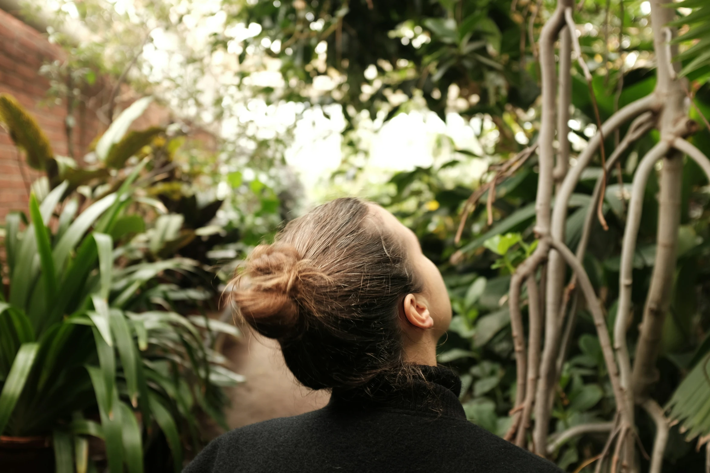 a woman looking at lush vegetation in a forest