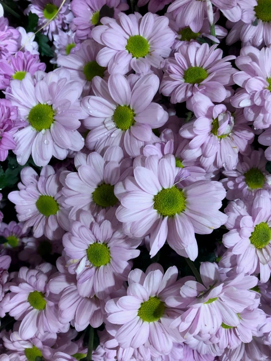 a bouquet of purple flowers are in a bouquet