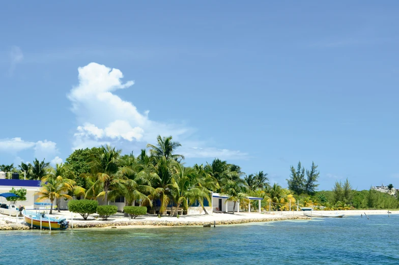 a beach with houses next to trees and the ocean