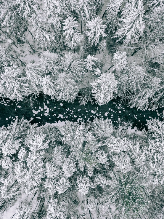 an aerial po of a river running through the woods