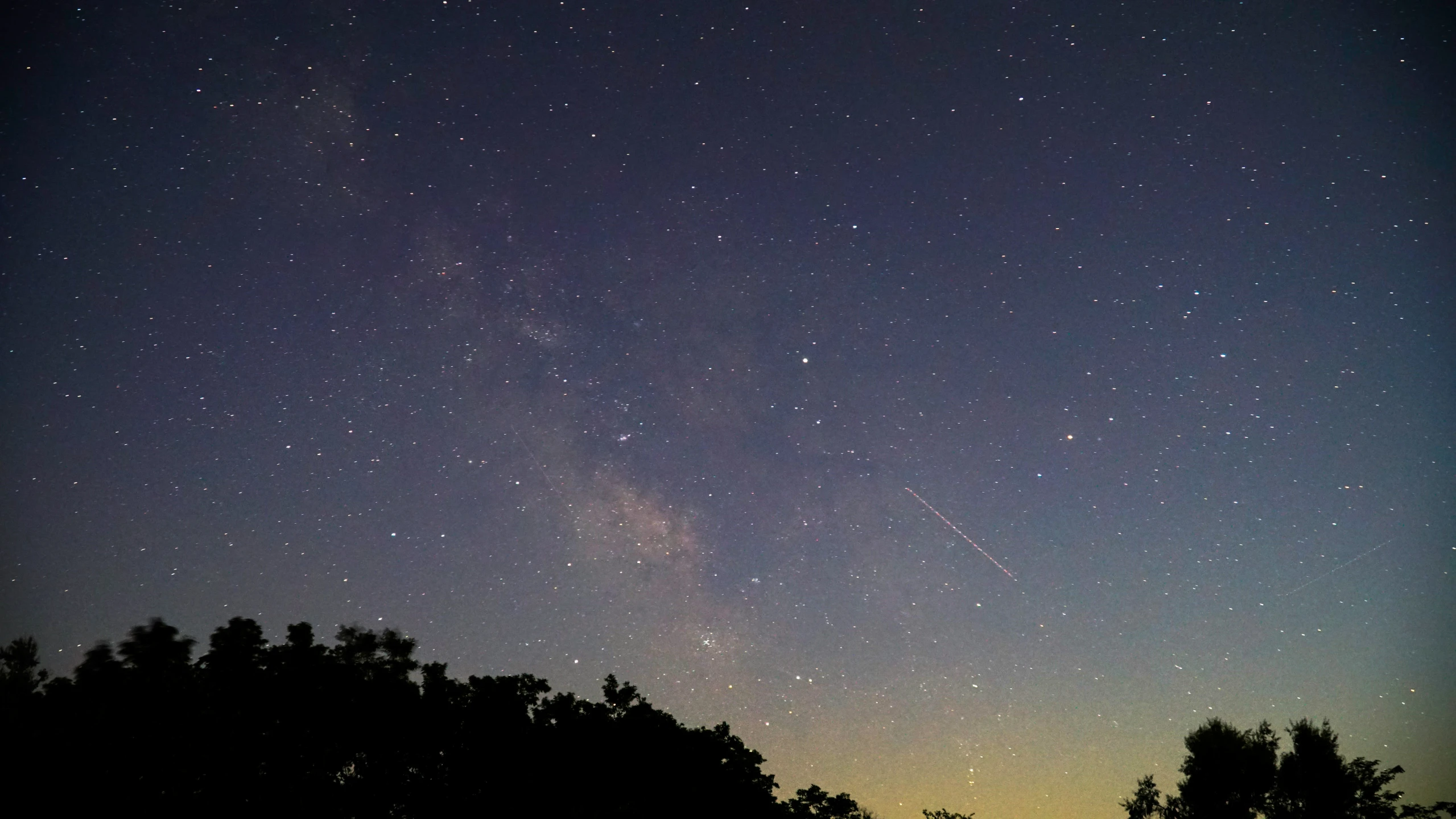 the night sky with stars and the trees on the left side