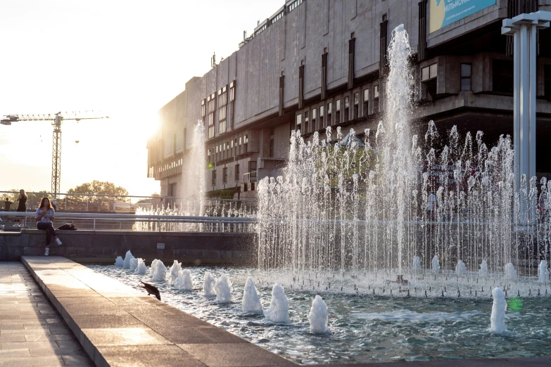 the fountain on a city street with two pigeons walking in front of it