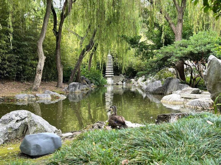 a small pond and stone steps are in the foreground, surrounded by boulders