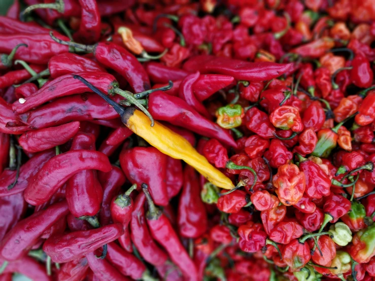 a pile of chili peppers with a yellow pepper on top of it