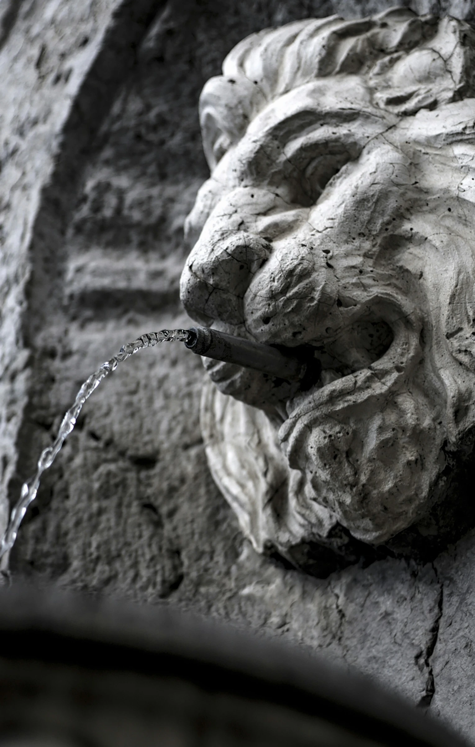 black and white pograph of an old lion head with a water spigot