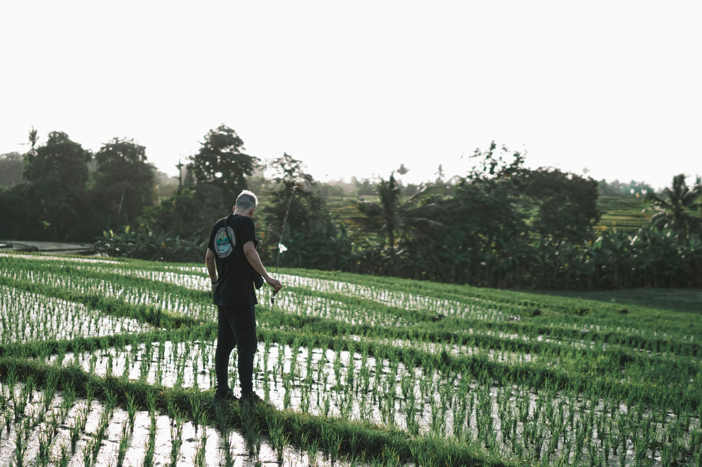 a man in a field is looking at plants