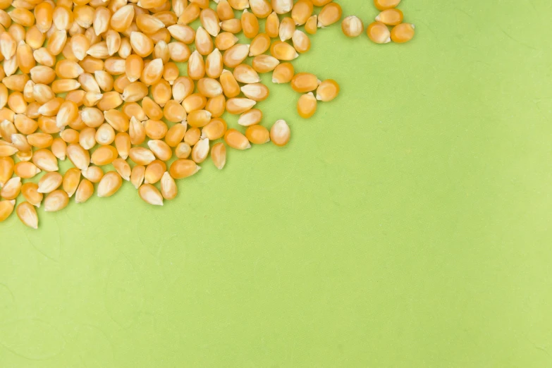 close up view of seed on green cloth