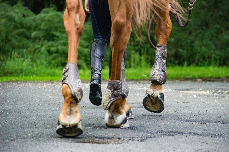 legs and feet of a person walking while on the street with horses