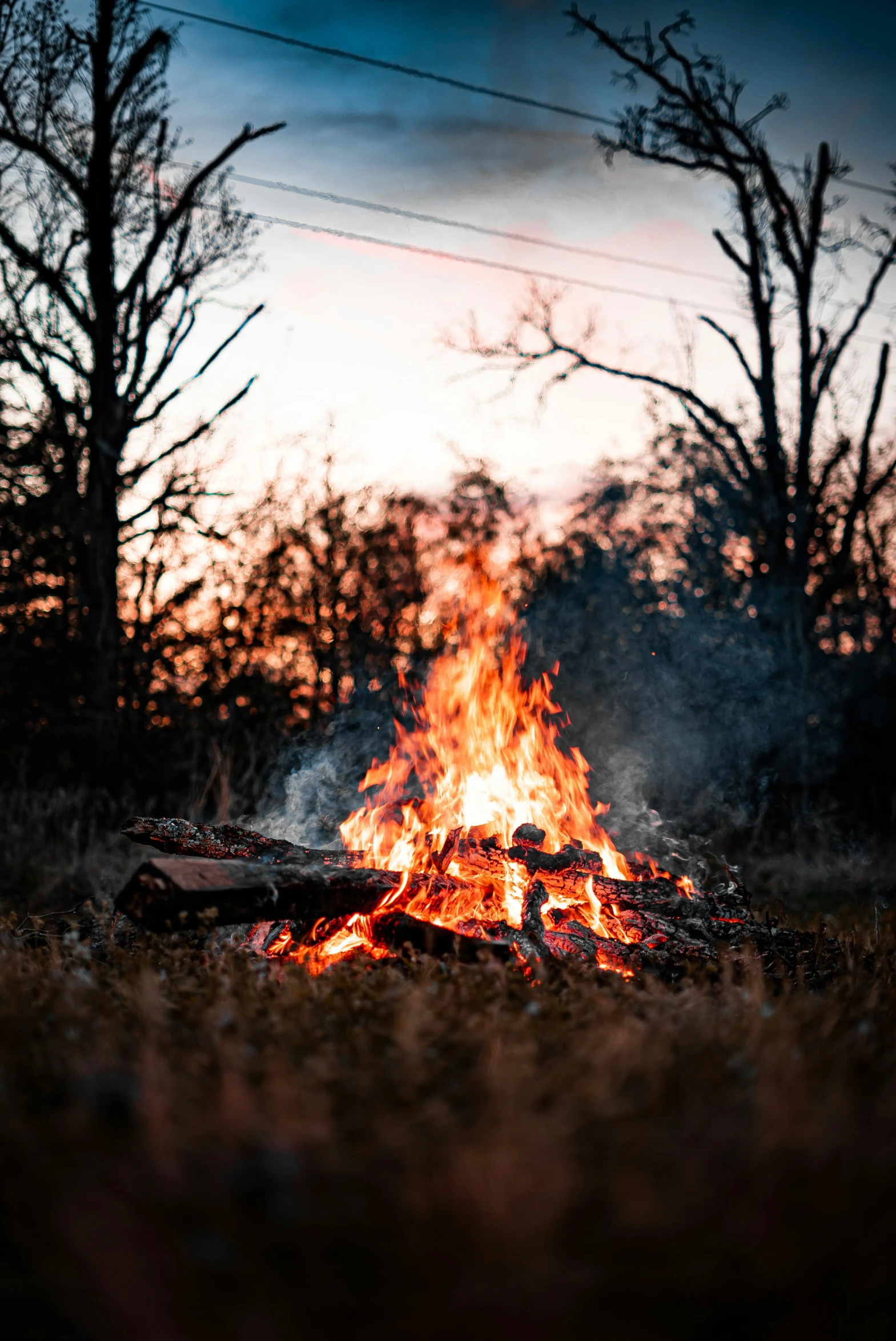 bonfire in middle of grassy field with telephone lines and tree silhouette