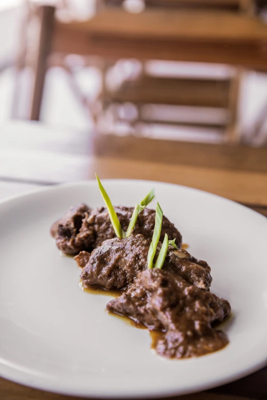 meat with tomato, chives and seasoning on top of sauce on a plate