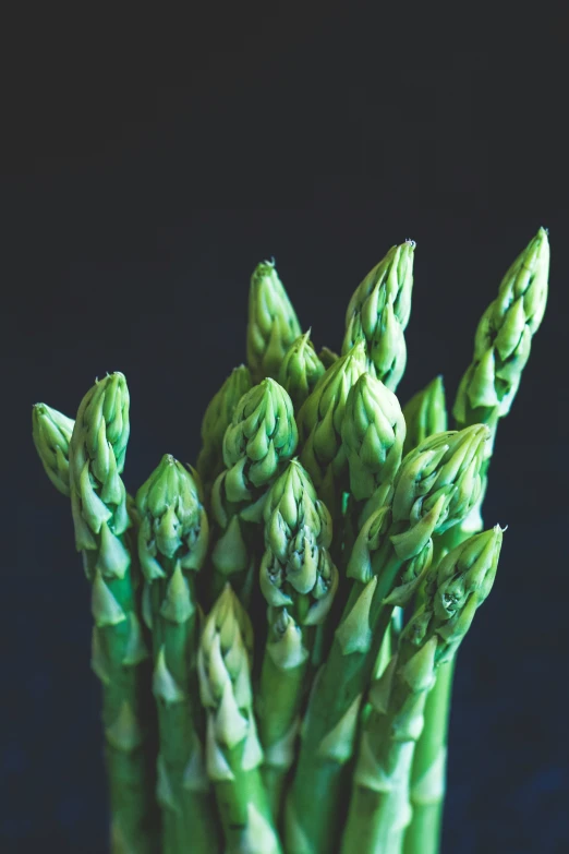 many green leaves from asparagus are on a black background