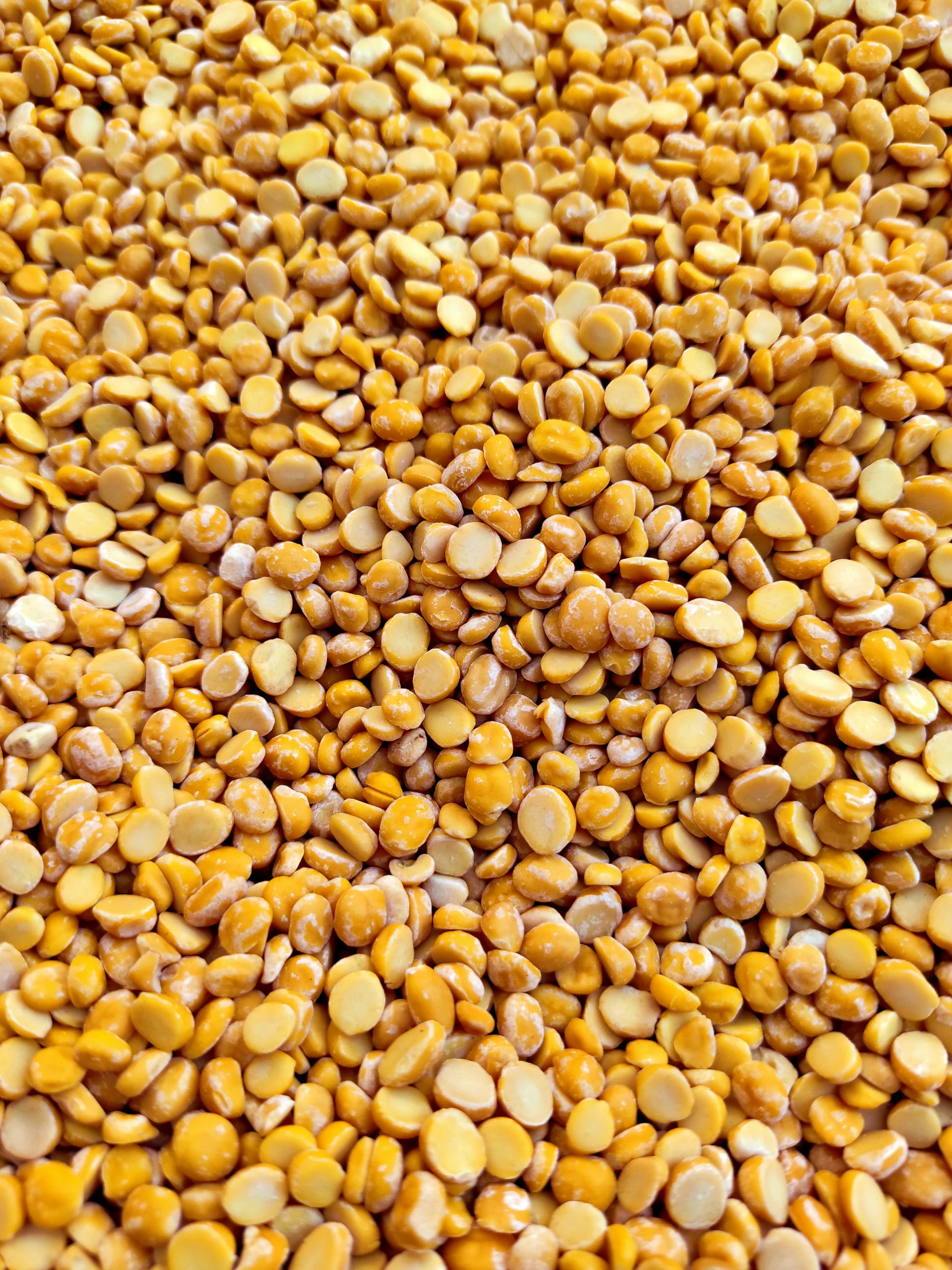 a pile of lentils on a table with no food