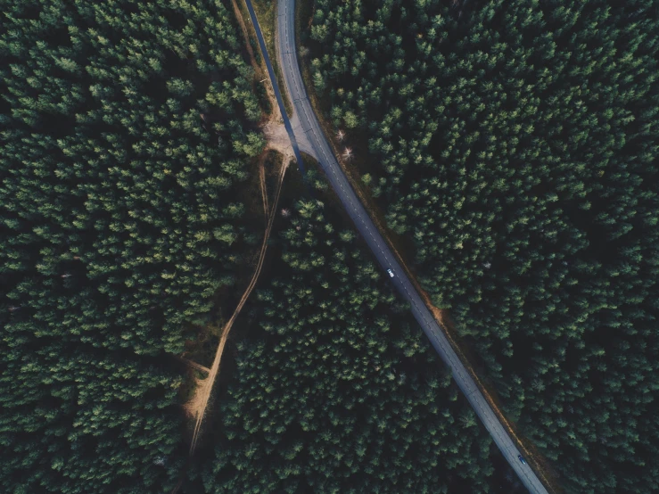 an aerial view of a tree covered area, with a road winding through it