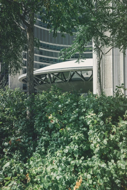 there are trees, bushes, and a boat in a building