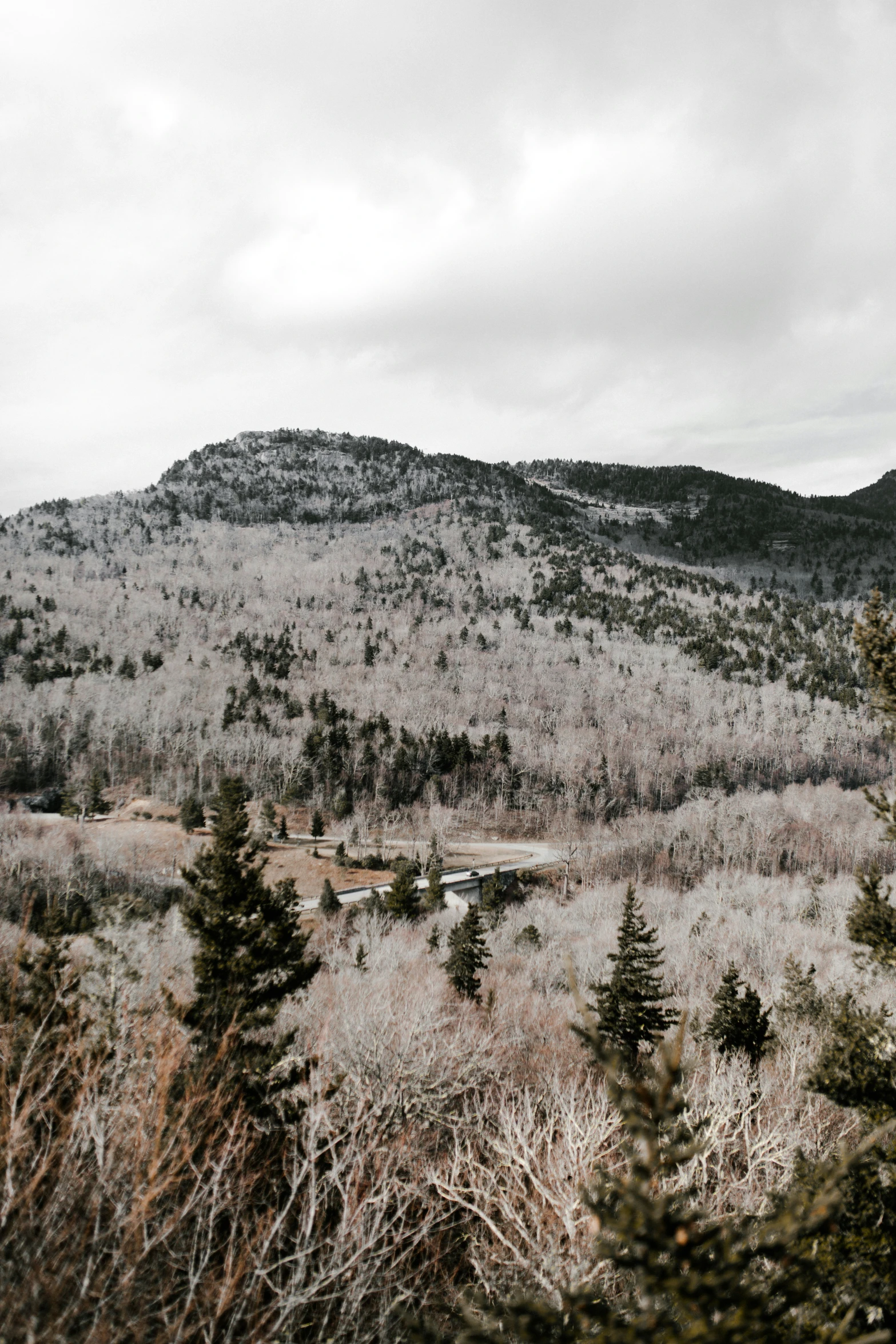 some trees a building a hill and mountains