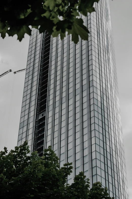 a tall glass building surrounded by trees and birds