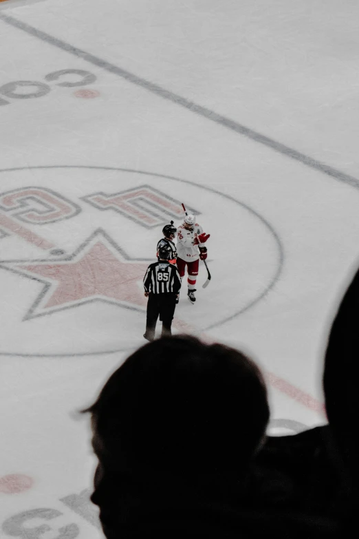 a hockey fan in uniform at the ice rink