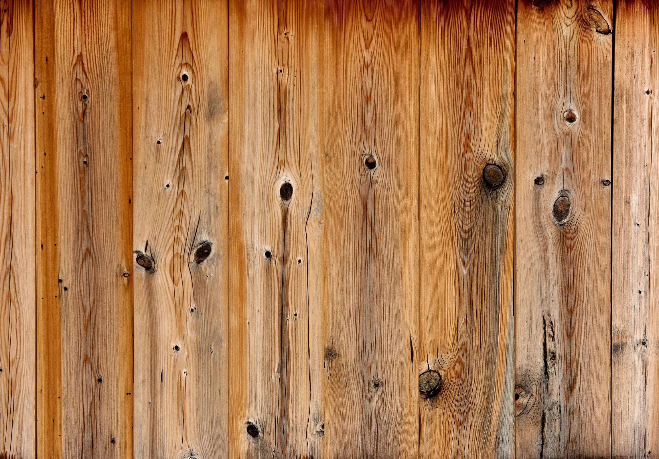 a wood fence with knots and wood planks