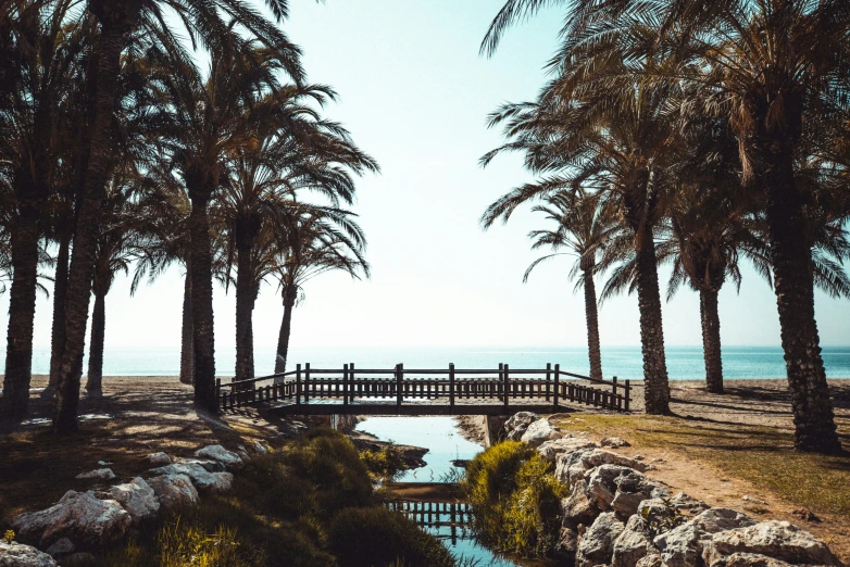 a man walking on a boardwalk across water near trees