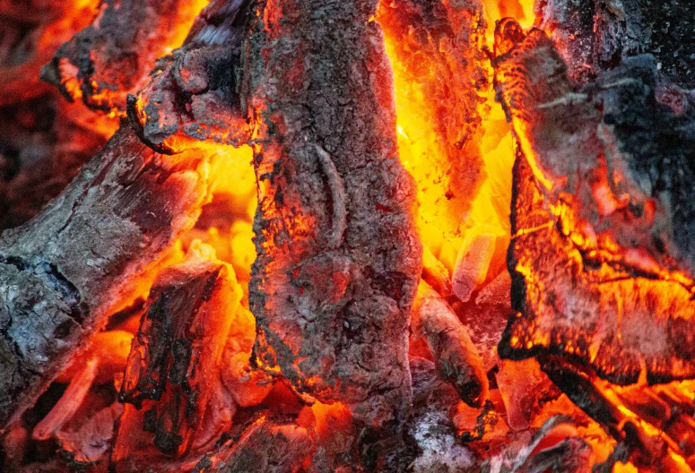 close up of flames and flames inside a large log