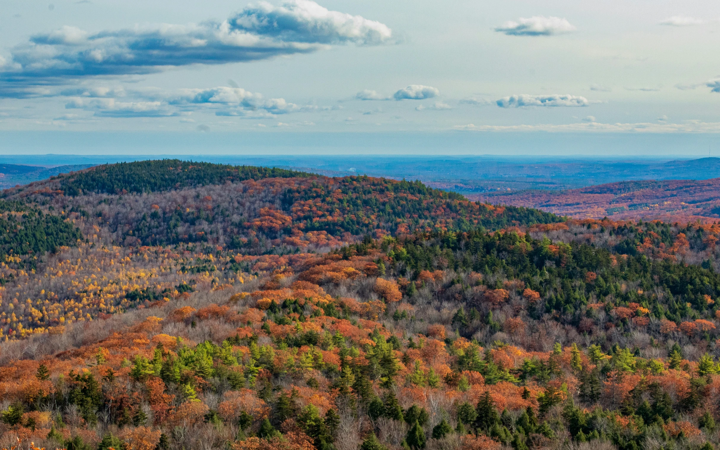 a view over a forested mountain during the autumn