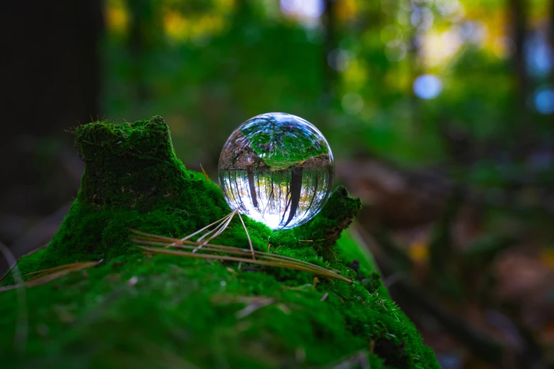 some glass balls are sitting on a moss covered stump