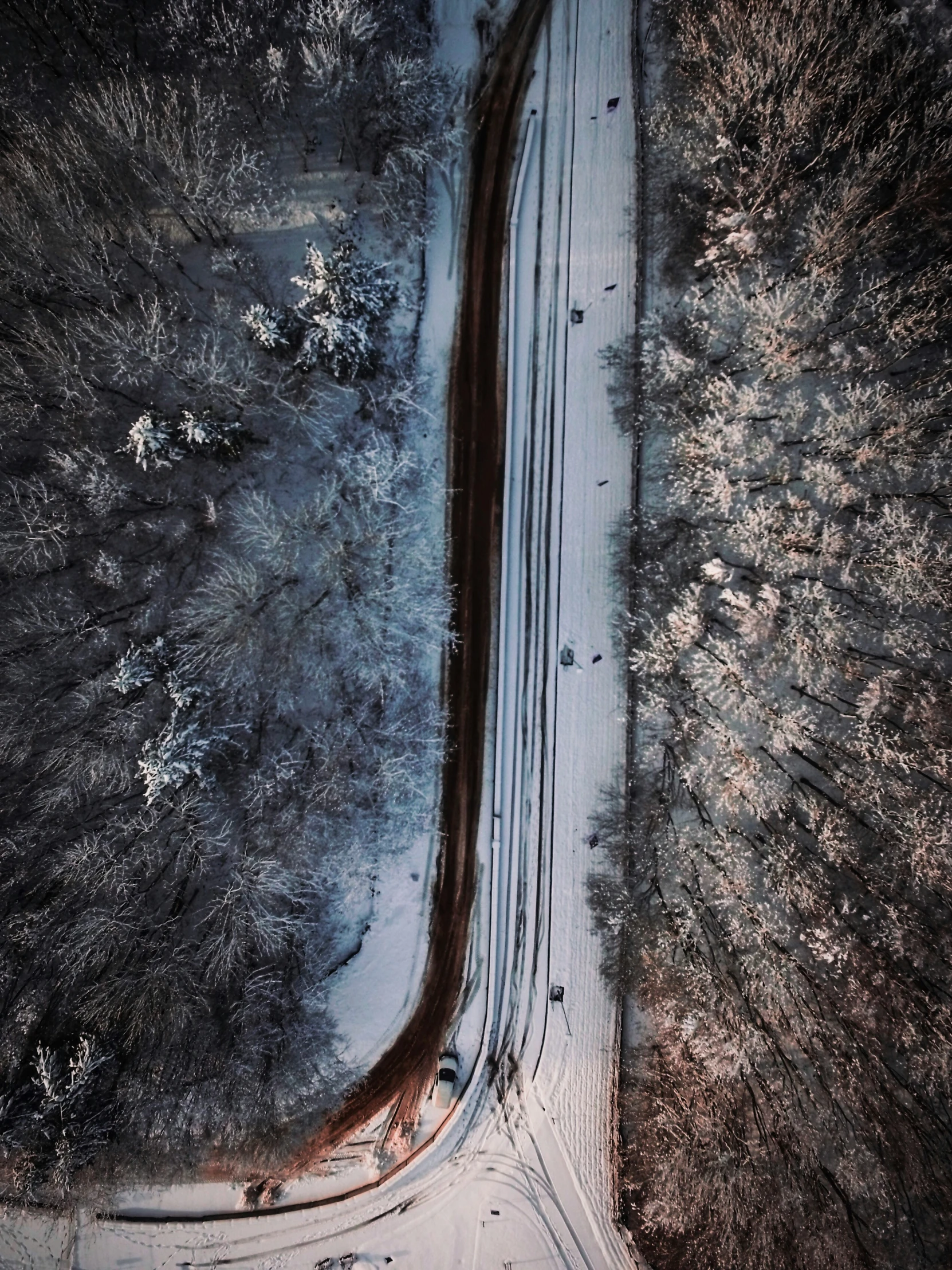 a road in the middle of winter on the ground