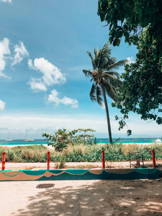 a beach covered in sand next to palm trees