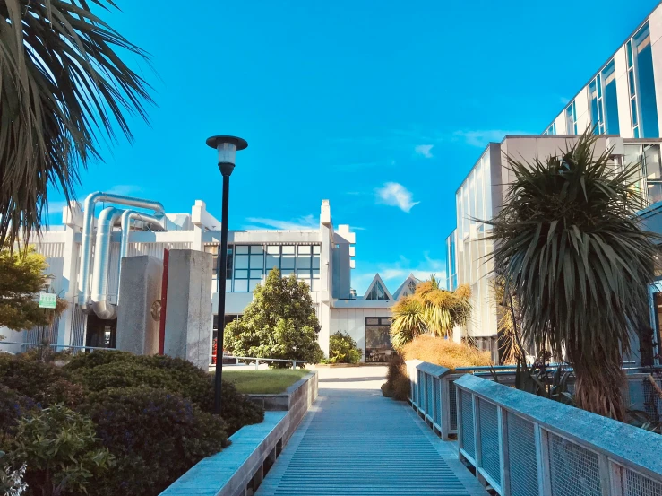 the walkway leads up to many large buildings