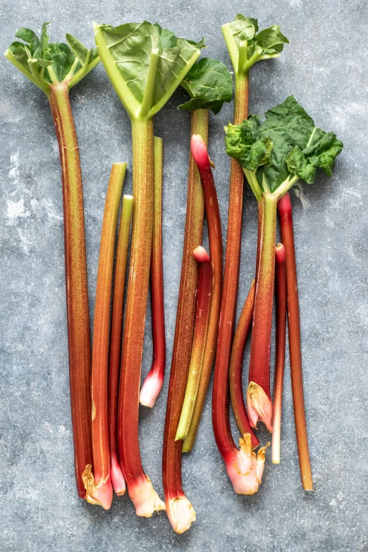 a close up of many different types of vegetables