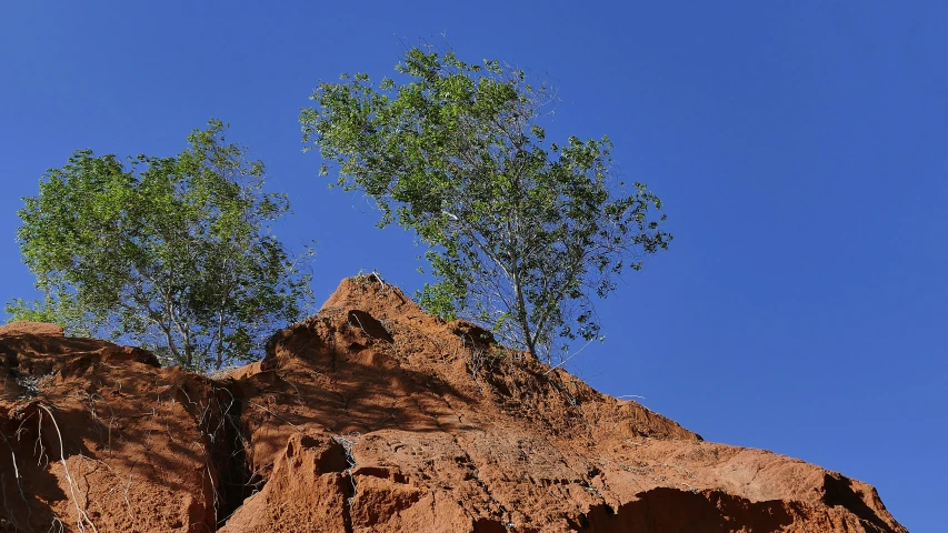 the rocks are covered with trees and some clear blue skies