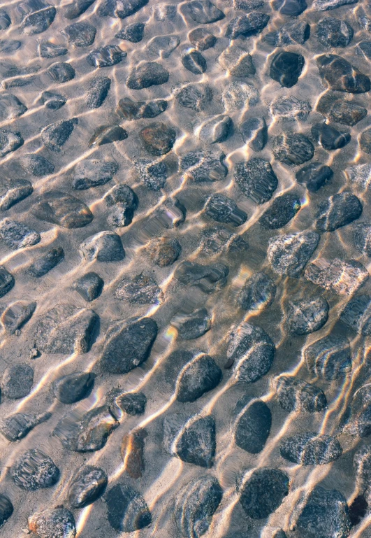 water in a river flowing between stones and sand