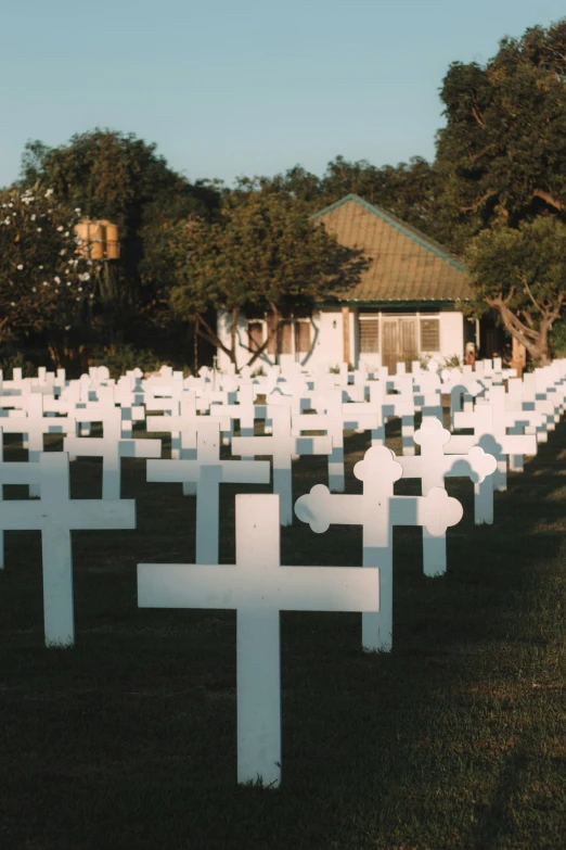 a field with large white crosses laid across it