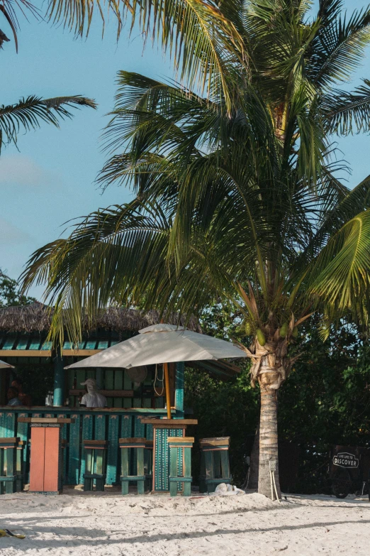 a picture of some sand and trees with an umbrella