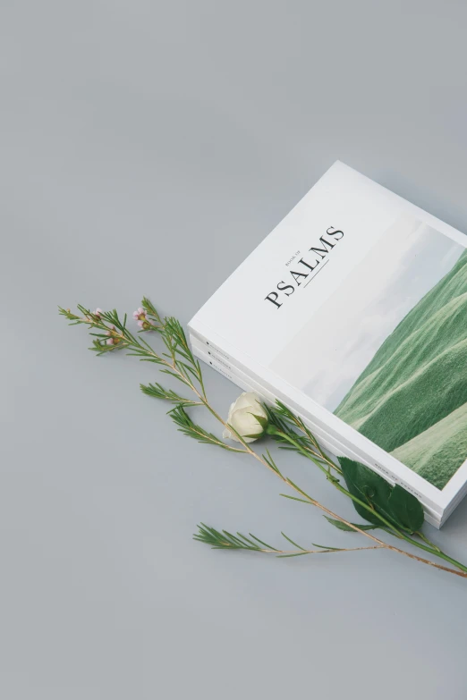 a book with flowers laying next to it