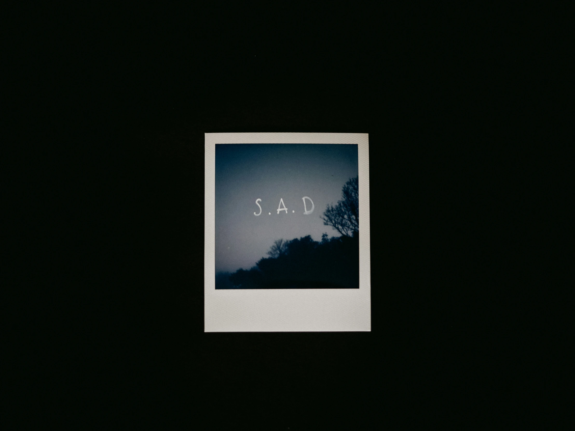 a polaroid pograph of trees at night, and the word sat above them