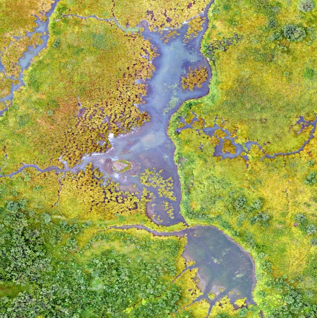 the surface of an earth landscape is full of vegetation and blue water