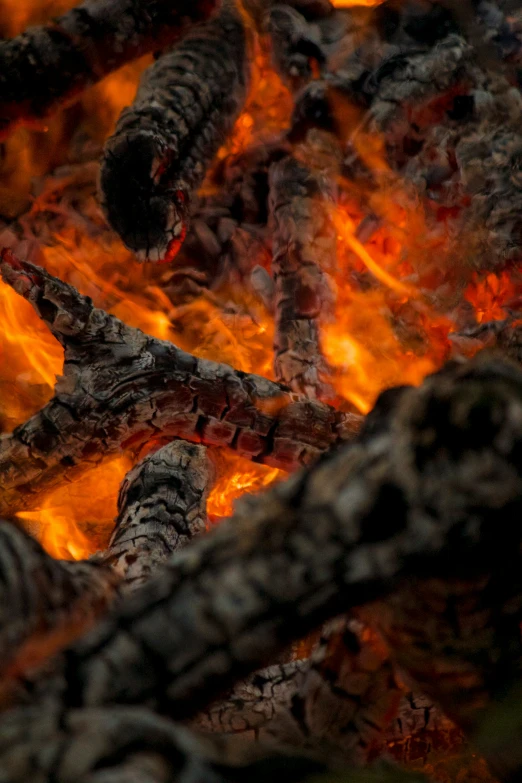 flames are glowing bright in the dark, leaving some burnt wood