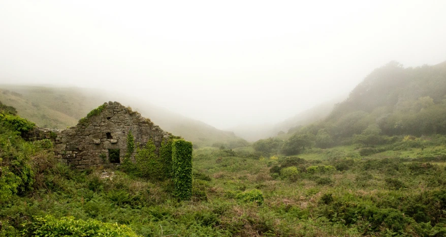 a lonely house surrounded by greenery on a foggy day