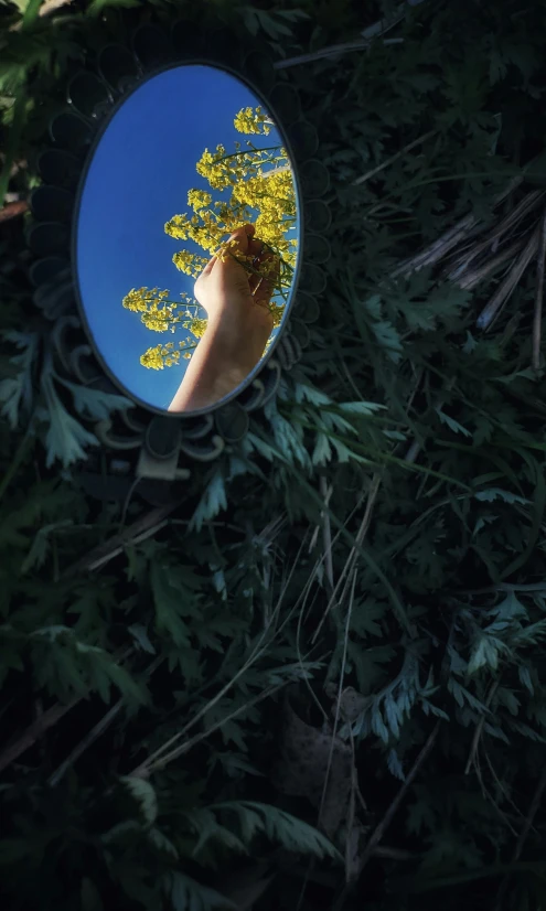 a person's foot in the reflection of a mirror