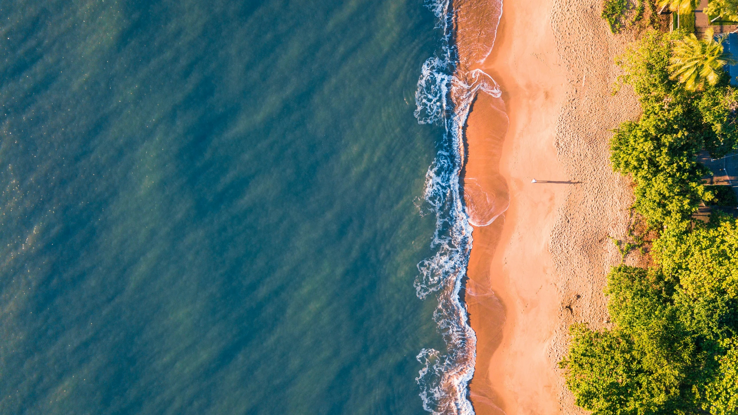 a view of the ocean and a beach from above