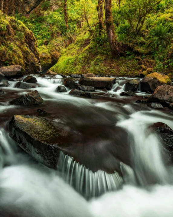 the water is rushing down the rocks in this green forest