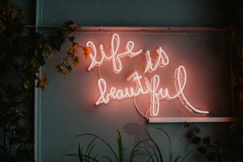 pink neon sign that says life's beautiful