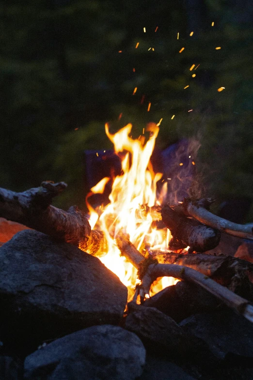 some wood fire and rocks on the ground