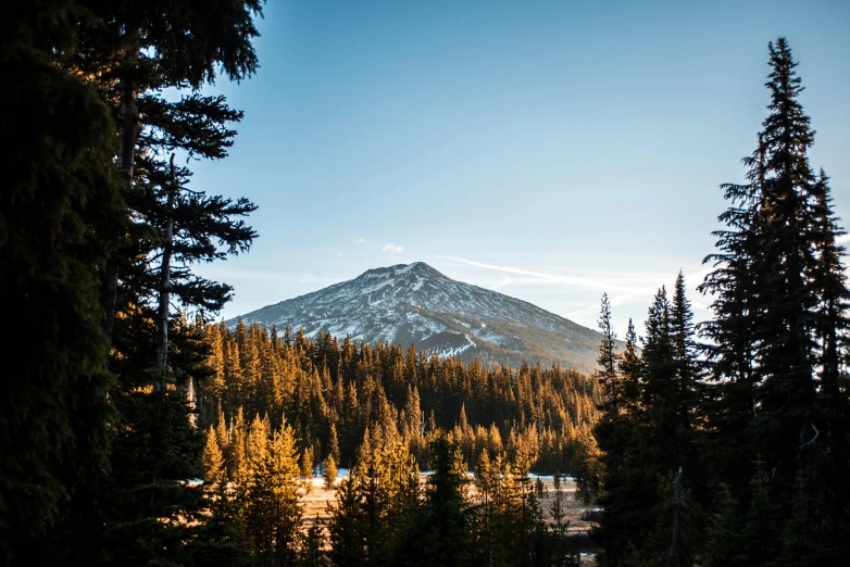 a snowy mountain surrounded by evergreen trees