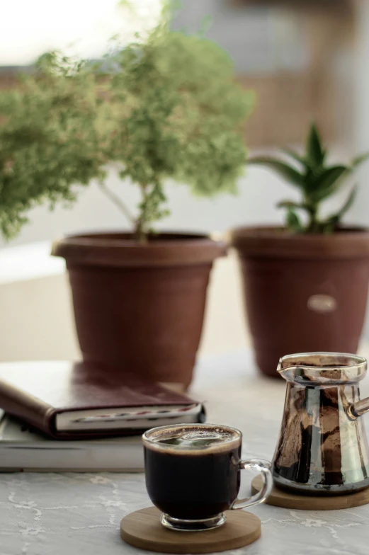 two pots with a plant inside of them