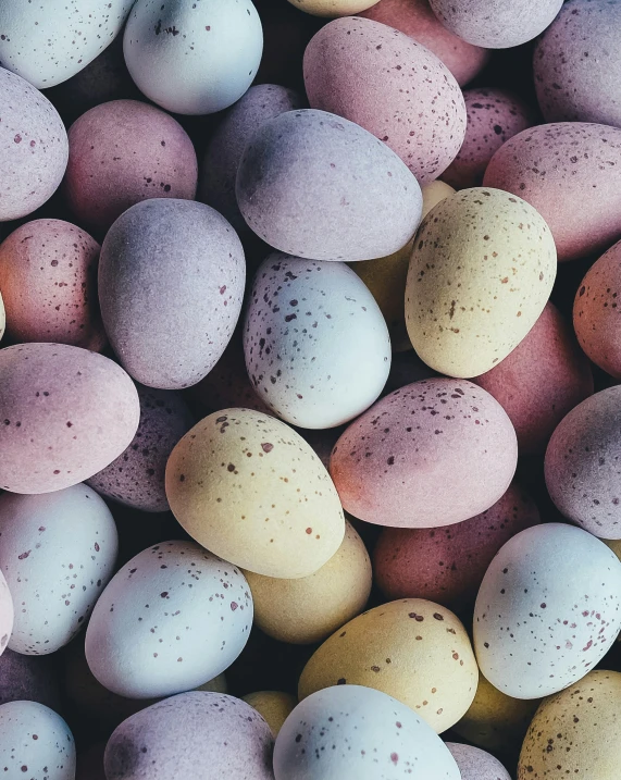 a bunch of eggs that are laying down