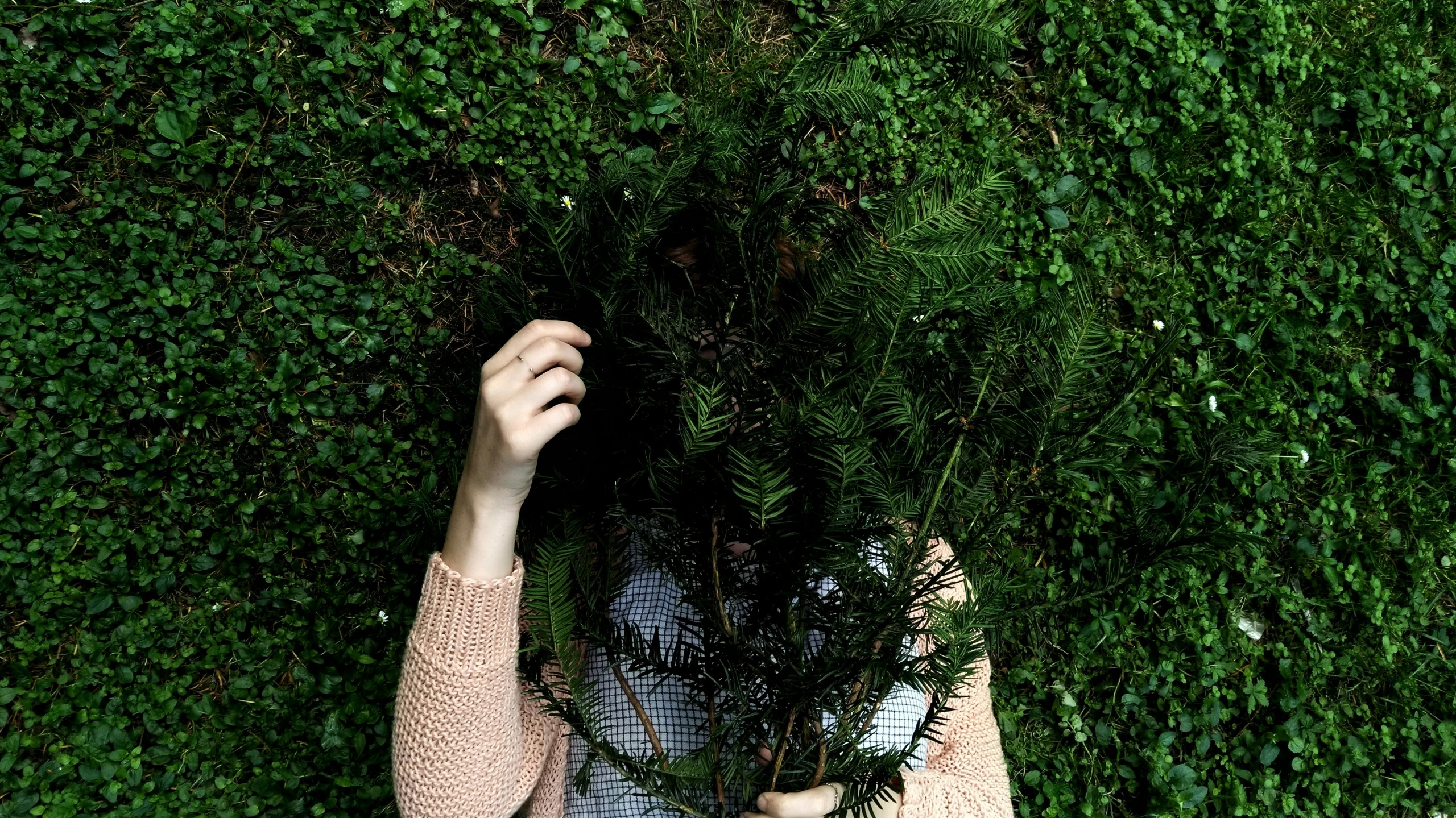a person is standing in the middle of an area with green bushes