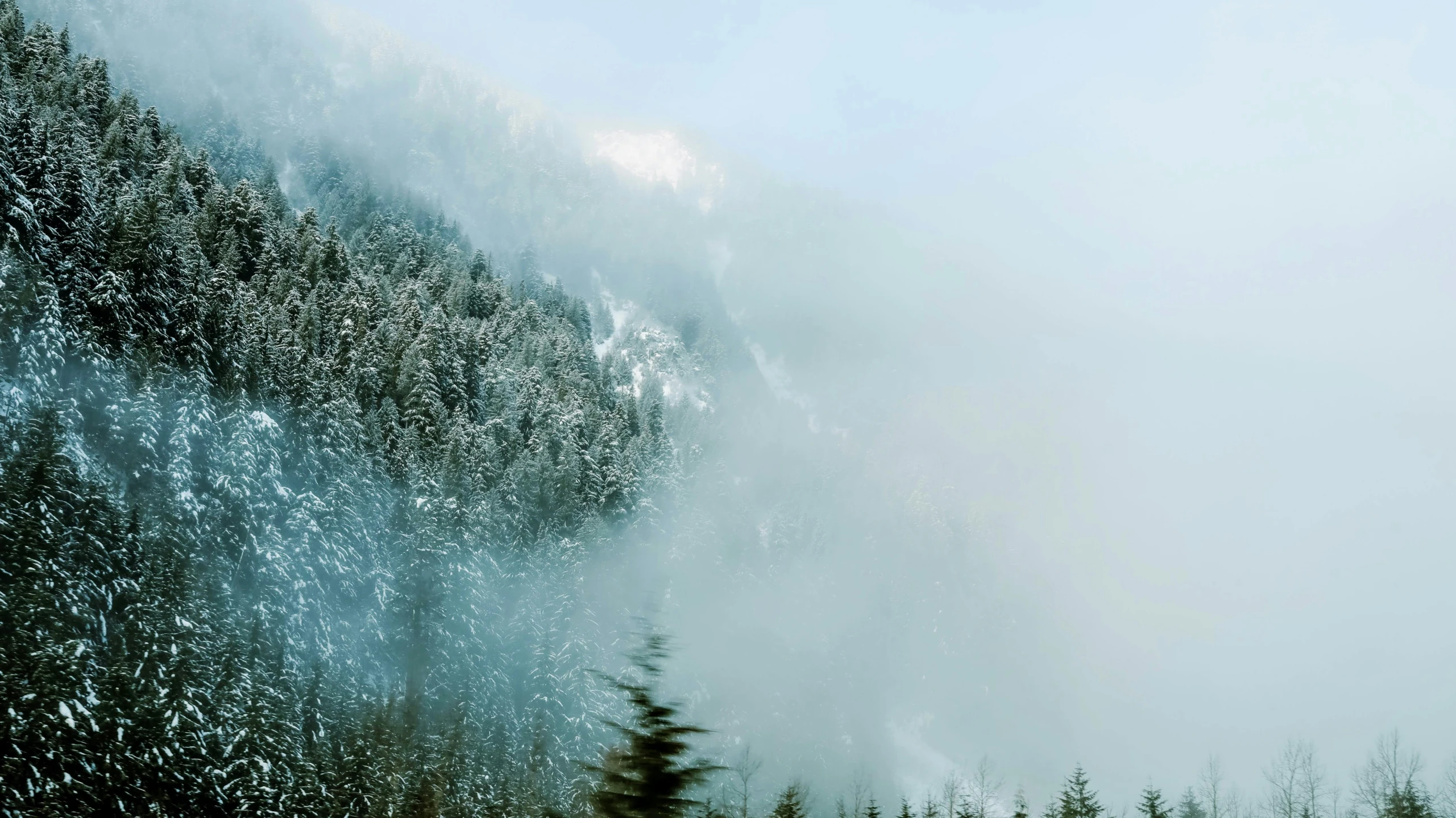 a mountain covered in snow and ice next to a forest